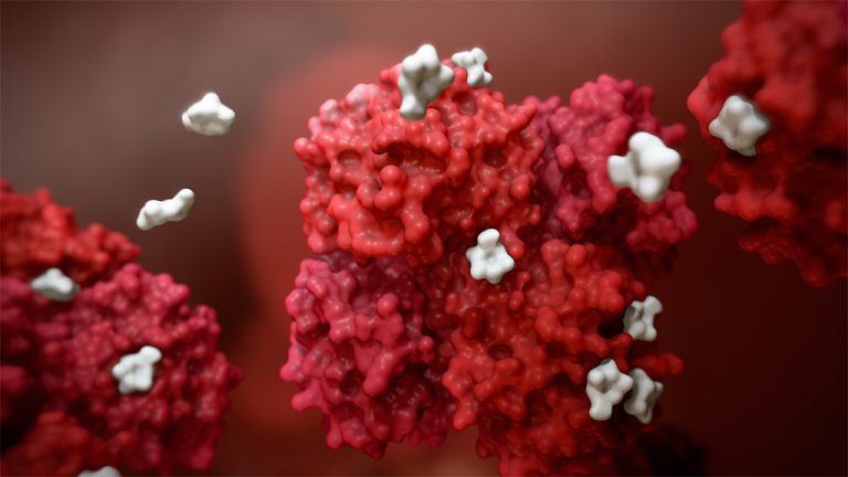 3D-Animation | Glykierung des Haemoglobins
